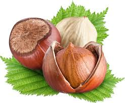 Hazelnut fruit from Georgia