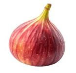 Fig fruit from Iran