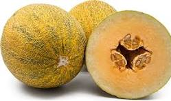 Persian Melon fruit from Iran