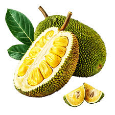 Jackfruit fruit from India