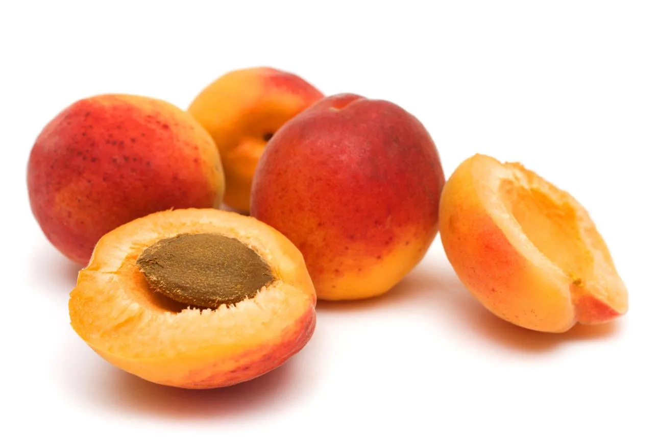 Apricot fruit from Kazakhstan