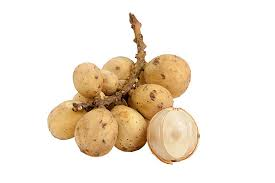 Langsat fruit from Malaysia