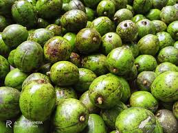 Lapsi fruit from Nepal