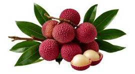 Litchi fruit from Eswatini