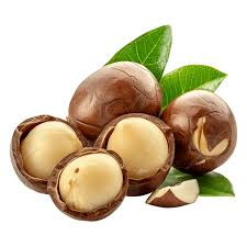 Macadamia fruit from Australia