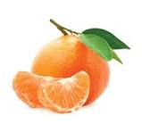 Mandarin Orange fruit from Nepal