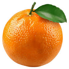 Mandarin Orange fruit from China
