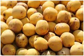 Morula fruit from Botswana