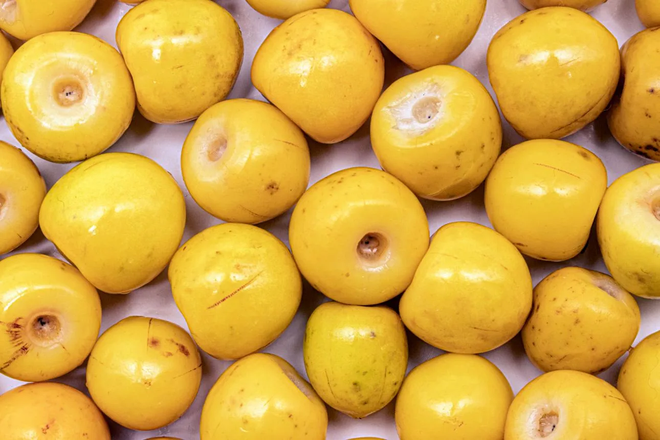 Nance fruit from El Salvador
