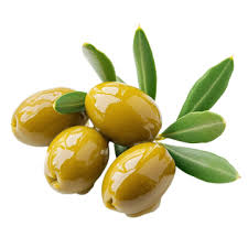 Olive fruit from Palestine