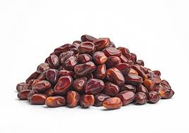 Dates fruit from Oman