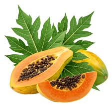 Papaya fruit from Congo