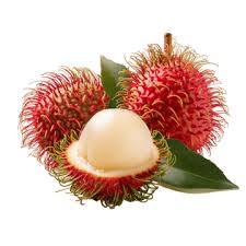 Rambutan fruit from Brunei