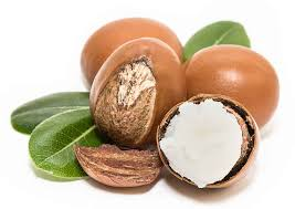 Shea Fruit fruit from Burkina Faso