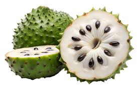 Soursop fruit from Micronesia