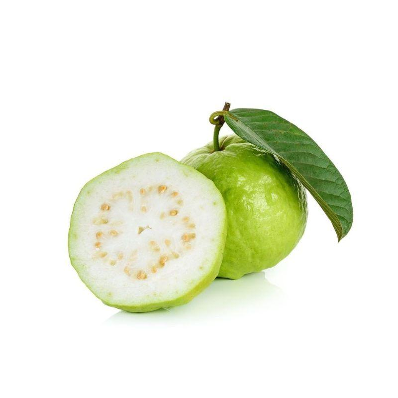 Taiwan Guava fruit from Taiwan