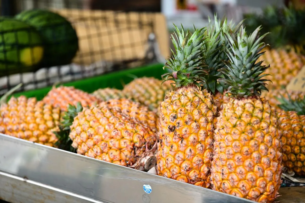 Pineapple fruit from Taiwan