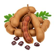 Tamarind fruit from India