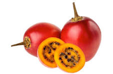 Tree Tomato fruit from Nepal