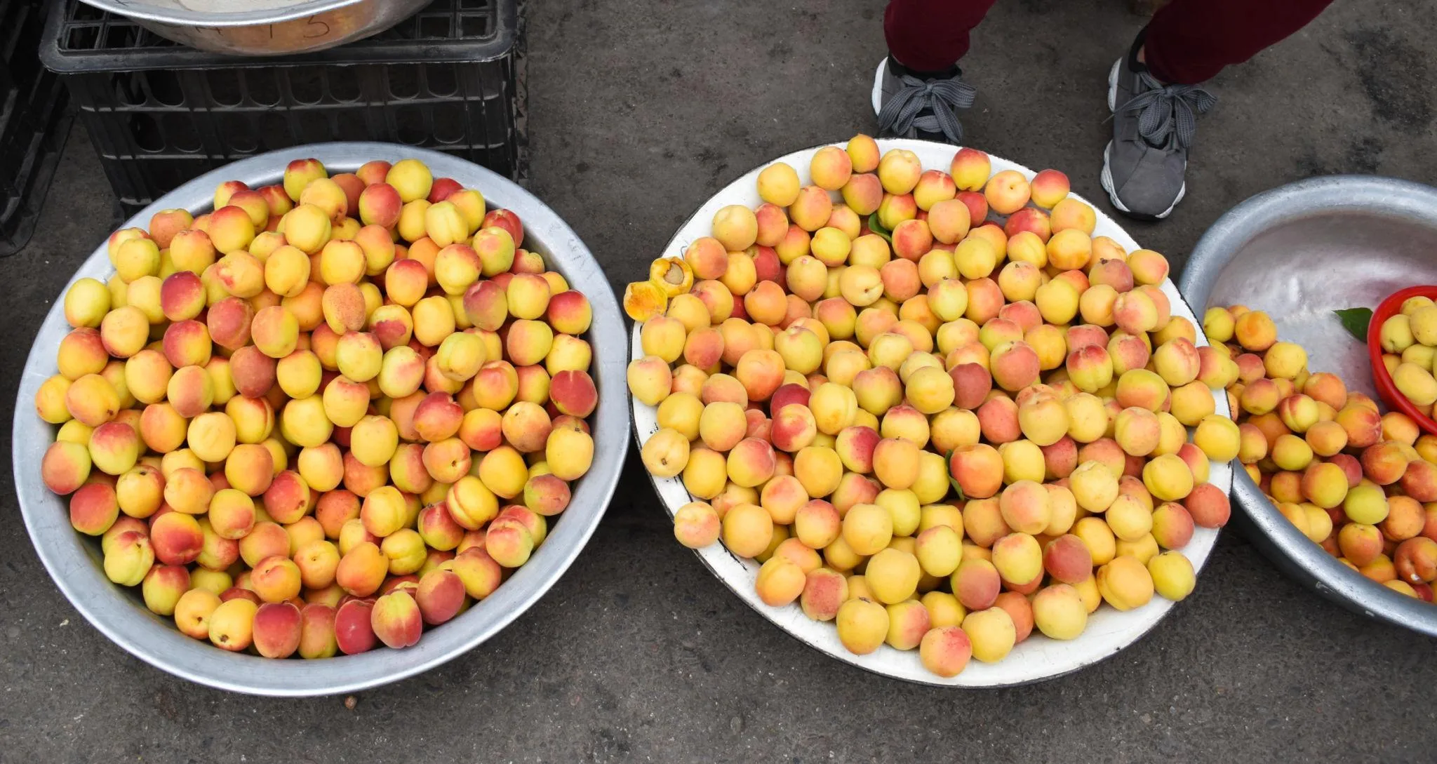Apricot fruit from Uzbekistan