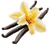Vanilla Bean Fruit fruit from Madagascar
