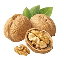 Walnut fruit from Ukraine
