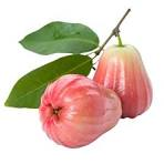 Wax Apple fruit from Taiwan
