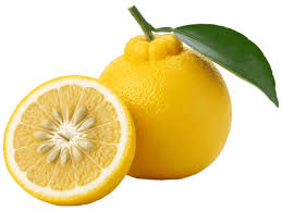 Yuzu fruit from Japan