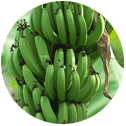 Bananas