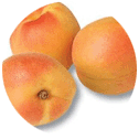 Apricot fruit nutrition