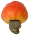 Cashew nuts nutrition