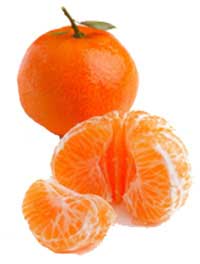 clementine fruit season clementine fruit season