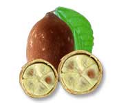 Cupuacu tropical fruit