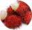 fruits