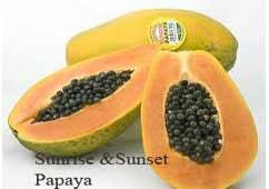 Sunrise and sunset papaya sunrise and sunset papaya