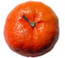 tangerine