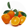 Sweet orange tropical fruit