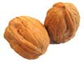 walnut