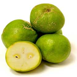 White Sapote fruit White Sapote fruit