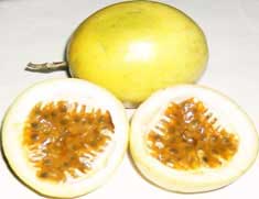 Yellow passionfruit