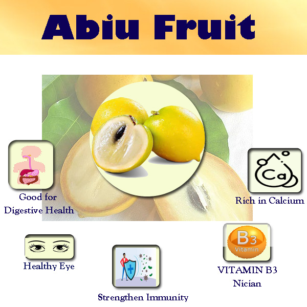 Abiu fruit Infographic