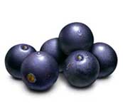 fruits