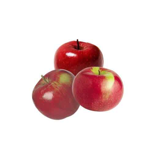 Apple, Description, Cultivation, Domestication, Varieties, Uses,  Nutrition, & Facts