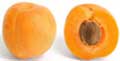 apricot