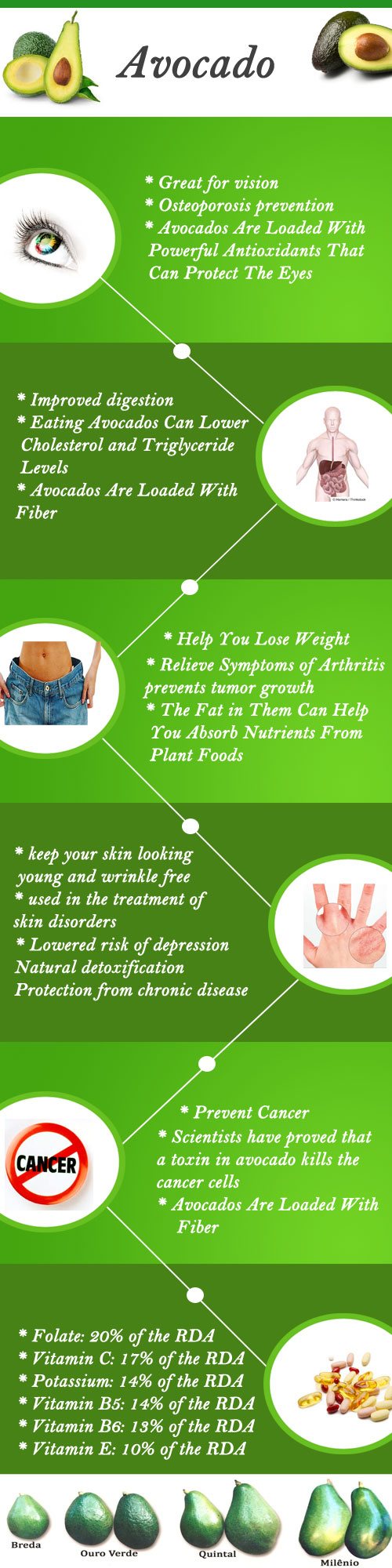 Avocado Infographic