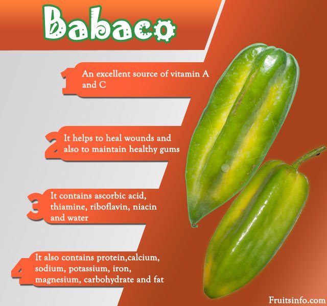 Babaco infographics