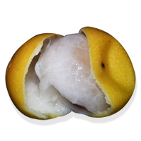 bacupari fruit