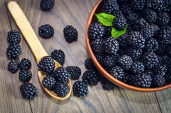  blackberry autumn fruit1