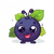 blackcurrant-fruit
