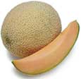 cantaloupe
